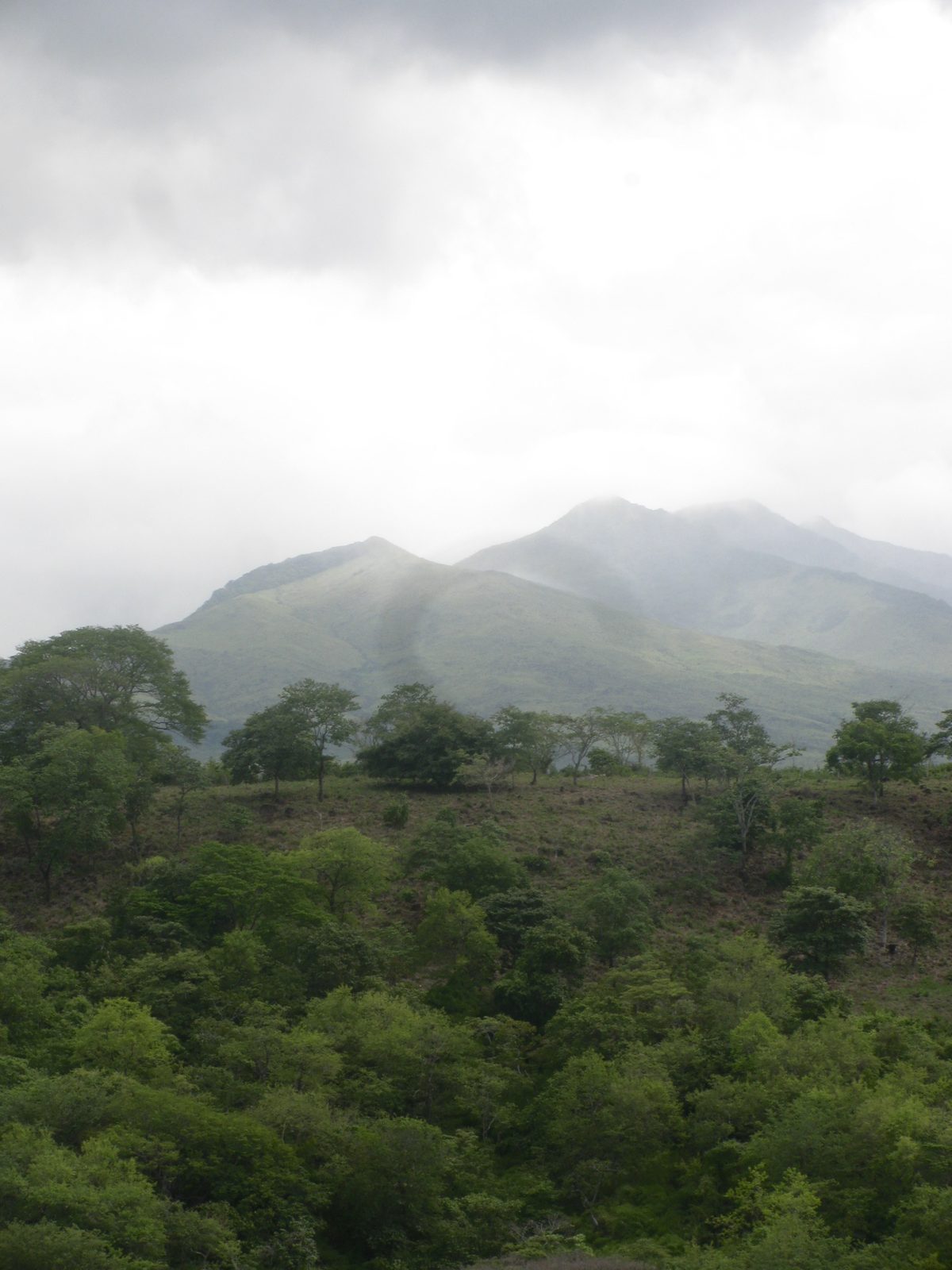 Mist lifting off green volcanic mountains above a forested hillside